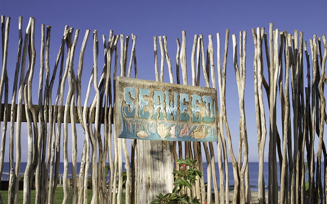 Jakes Hotel Treasure Beach Exterior foto